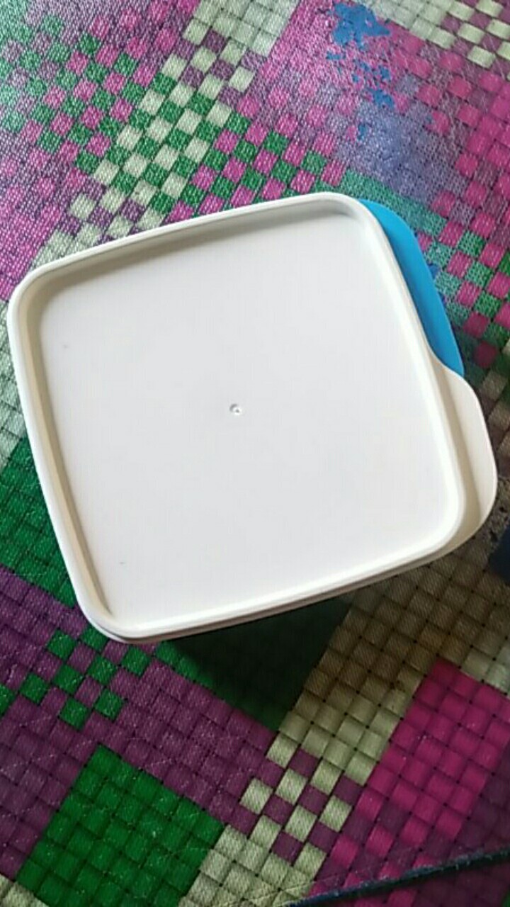 Kotak Makan Bekal Mini Tempat Serbaguna - Lunch Box 15x15x4cm Yoyo