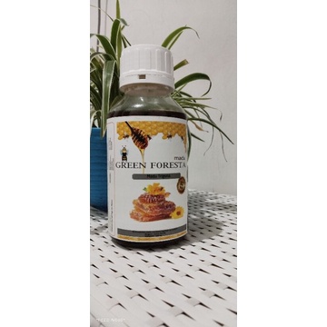 

madu klanceng trigona