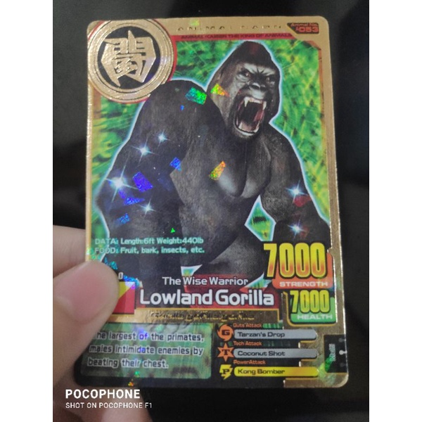 Animal kaiser pasti ori