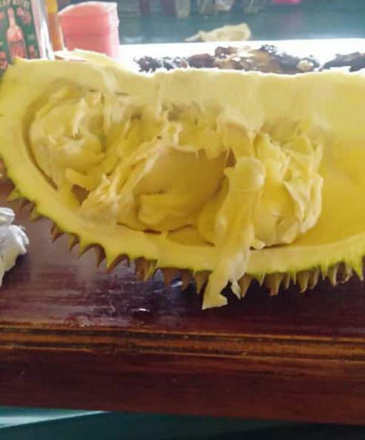 Panca Guna / Panci Kukusan 33cm Maspion Steamer 33 Cm