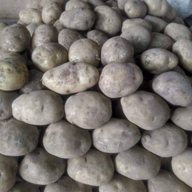 

Kentang
