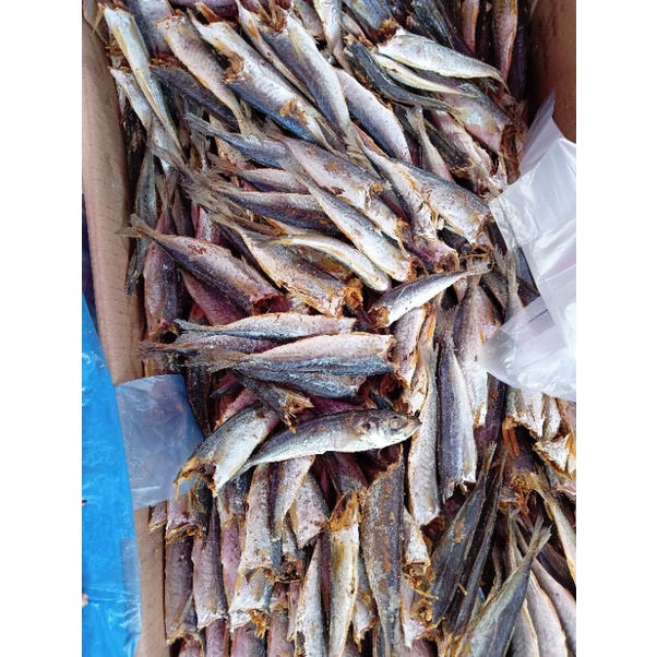 

rebus dencis potong kepala