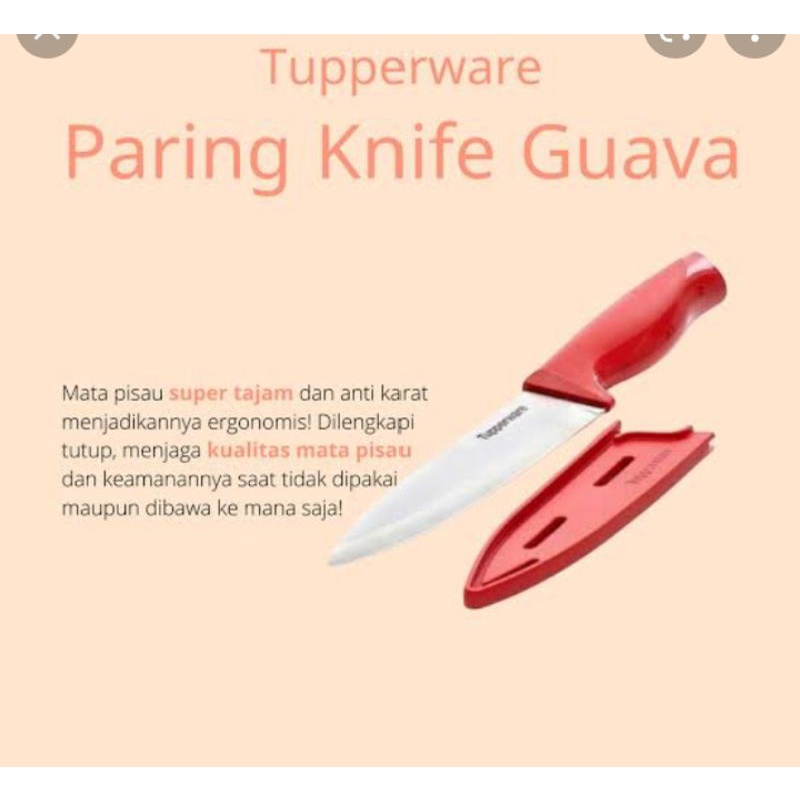paring knife guava tupperware / pisau tupperware