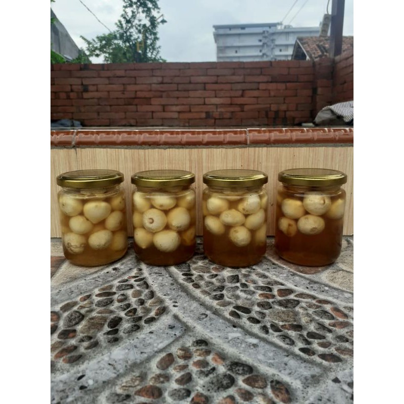 

MADU BAWANG LANANG+MADU BUNGA RANDU MADU HERBAL MADU KUAT MADU ASLI DARI PETERNAK