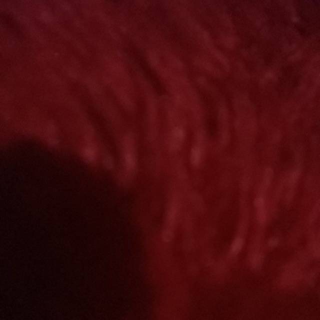 misnaapriantibapanggangraya