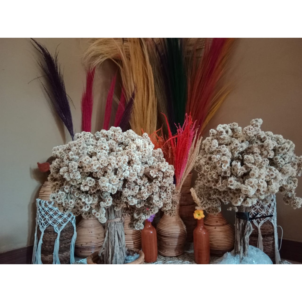 Bunga Kering Edelweis Natural Murah/ Buket Edelweis