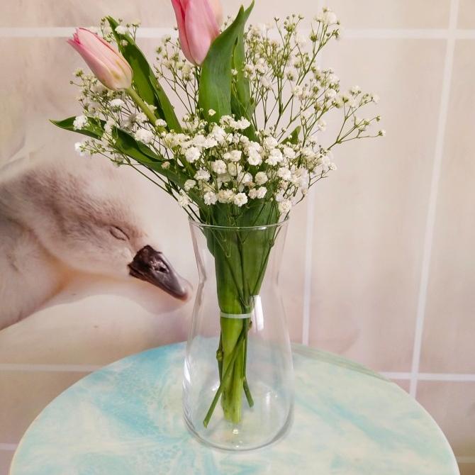 Vas Kaca tinggi 20 cm / Vas Bunga Kaca