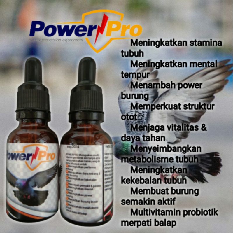 Vitamin Multivitamin burung merpati balap merpati kolong merpati giring Suplemen merpati balap merpa