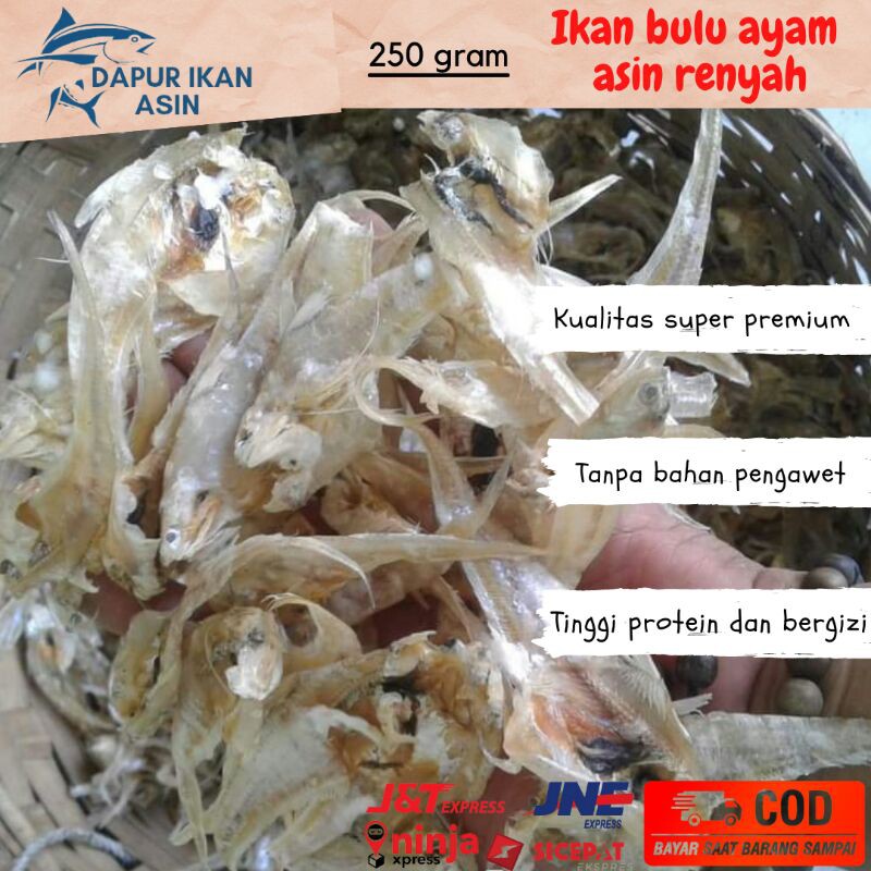 Ikan Asin Bulu Ayam Tipis Renyah 250gr