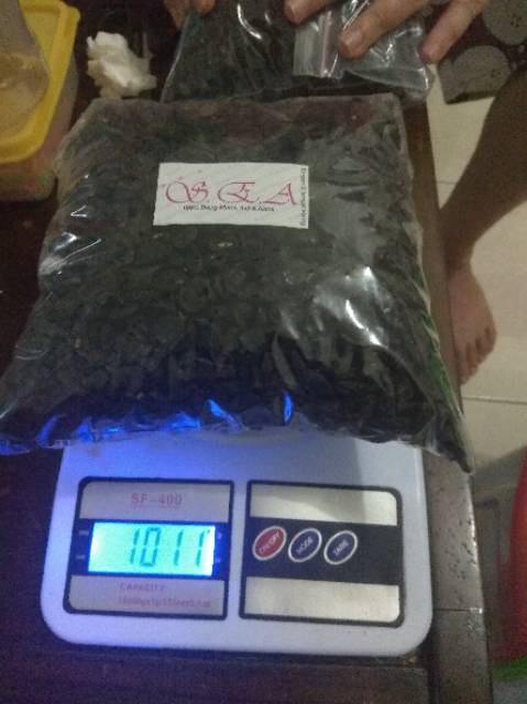 

(1kg) BIANG SUPER Mpot Ayam HITAM Asli UTUH Empot GROSIR bkn Manjakani Momo MJ Madura