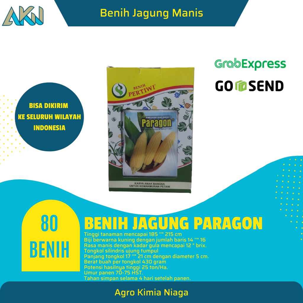 Benih Jagung Manis Hibrida PARAGON