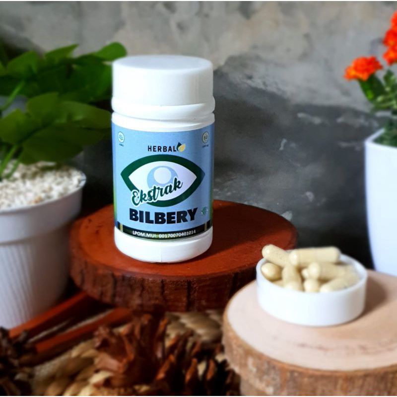 

Bilbery kapsul herbal mata minus katarak kapsul Bilbery extrak