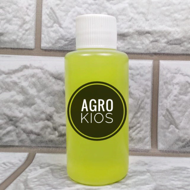 PARFUM MURNI DUNHILL BLUE 100ml ORIGINAL BIANG PARFUM