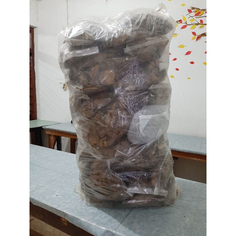

Daun Ketapang Olahan