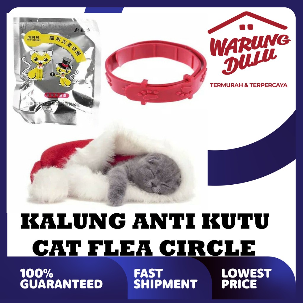 KALUNG KUCING  ANTI KUTU CAT FLEA CIRCLE