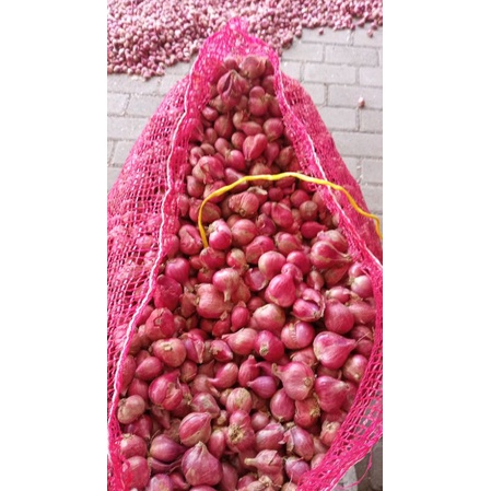 

Bawang merah murah 1kg 25000