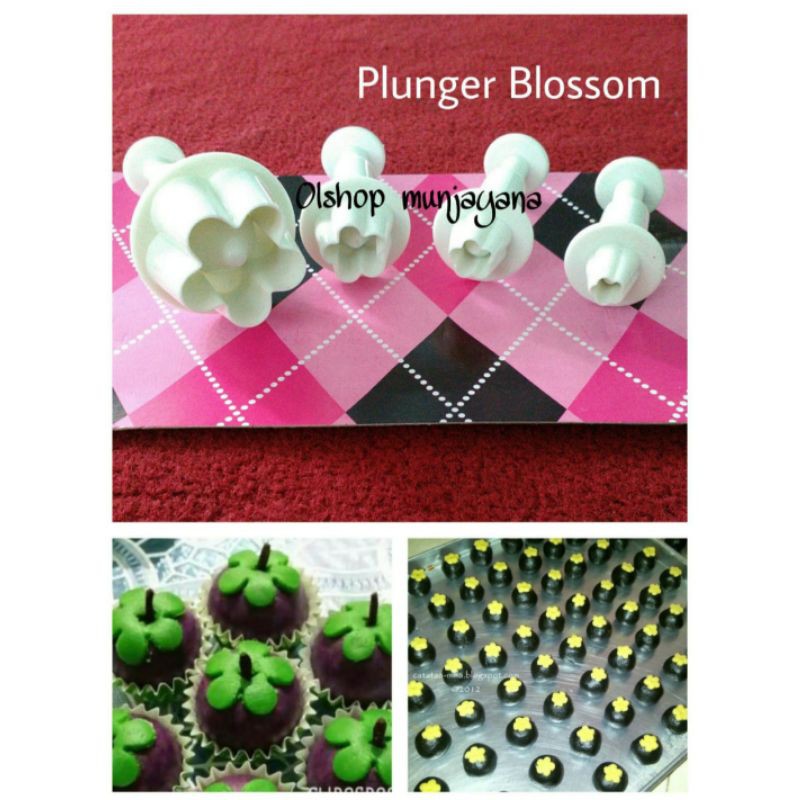 

Plunger Cutter Blossom