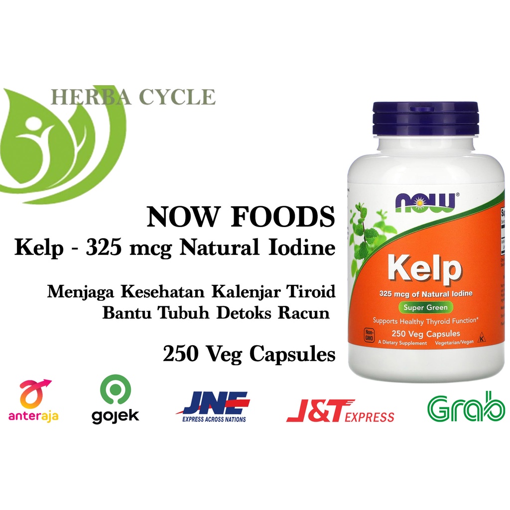 Now Foods Kelp 325 mcg of Natural Iodine 250 Veg Capsules Super Greens Yodium Alami Bantu Jaga Kesehatan Kalenjar Tiroid Serta Lancarkan Detoks Tubuh ORI USA NOW