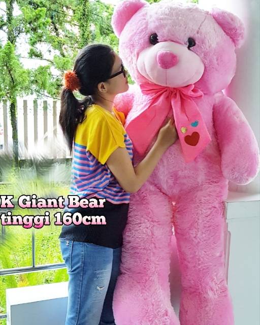 Boneka besar K Giant bear 160cm Pink