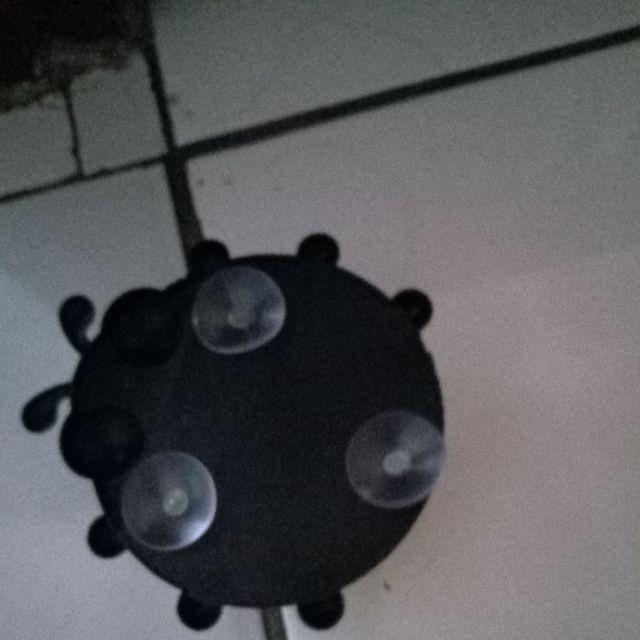 Kasimurah K043 Tempat Sikat Pasta Gigi Lady Bug Toothpaste Brush Organizer Container Lady Bug Grosir