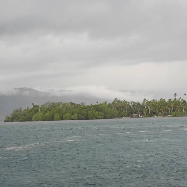 adilangganu2019
