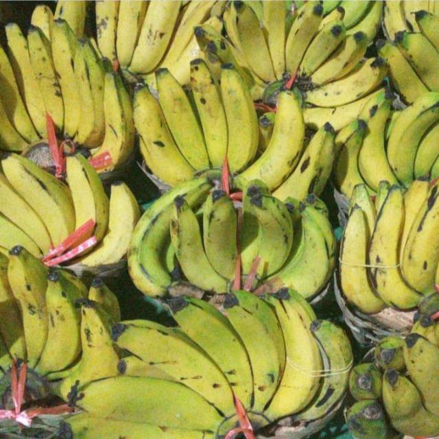 

PISANG AMBON FRESH
