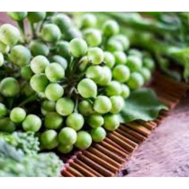 Rimbang/tekokak/takokak segar 1kg