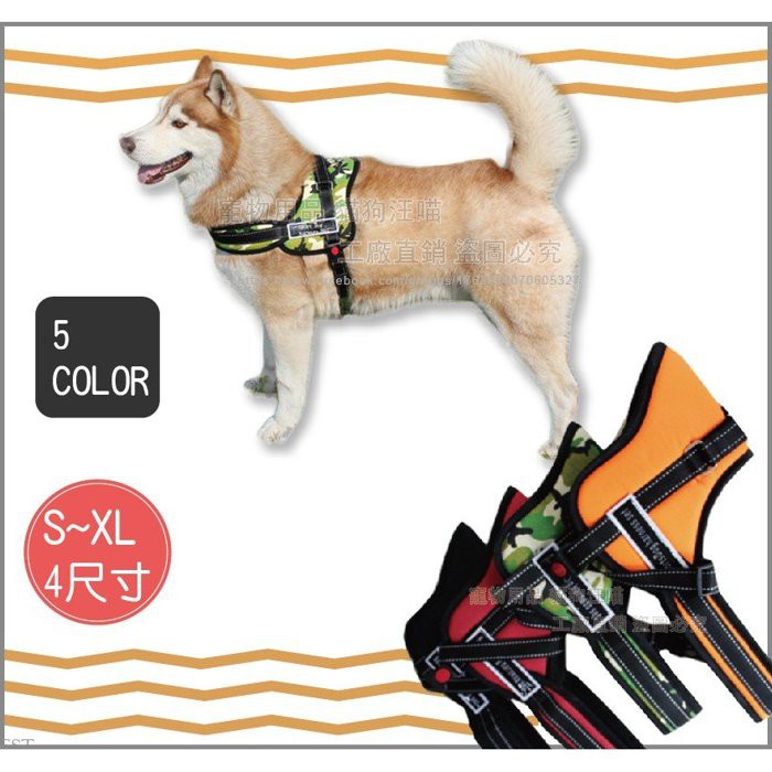 Tali Tuntun Dengan Kunci Untuk Anjing Shopee Indonesia