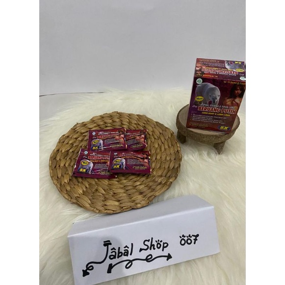 beruang putih kapsul