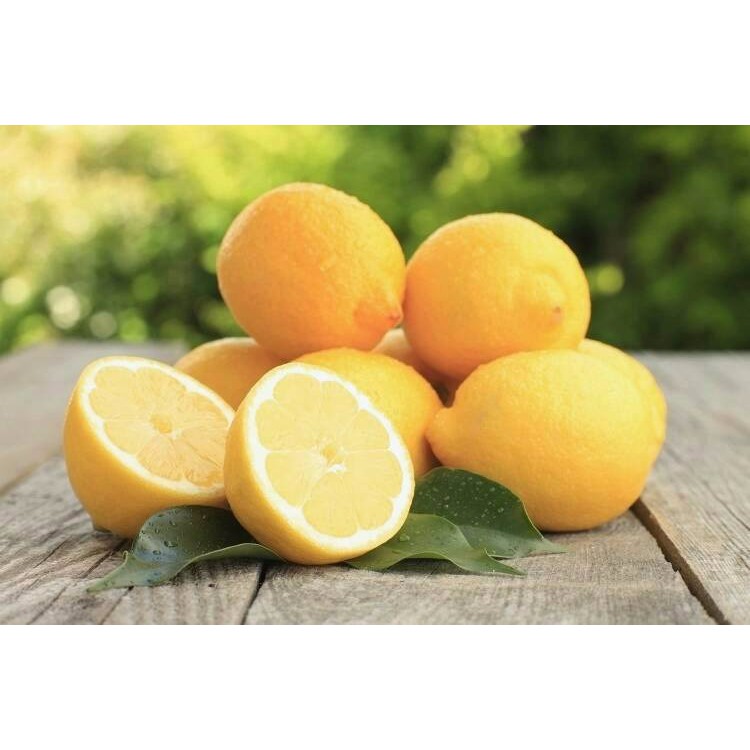 

promo Lemon Extract (500 ml) murah
