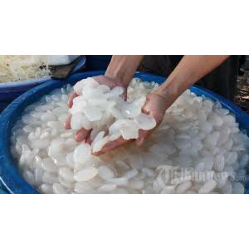 

Kolang kaling _ 500gr