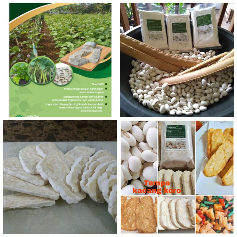 

tempe premium/tempe kacang koro/tempe sehat/tempe diabetes