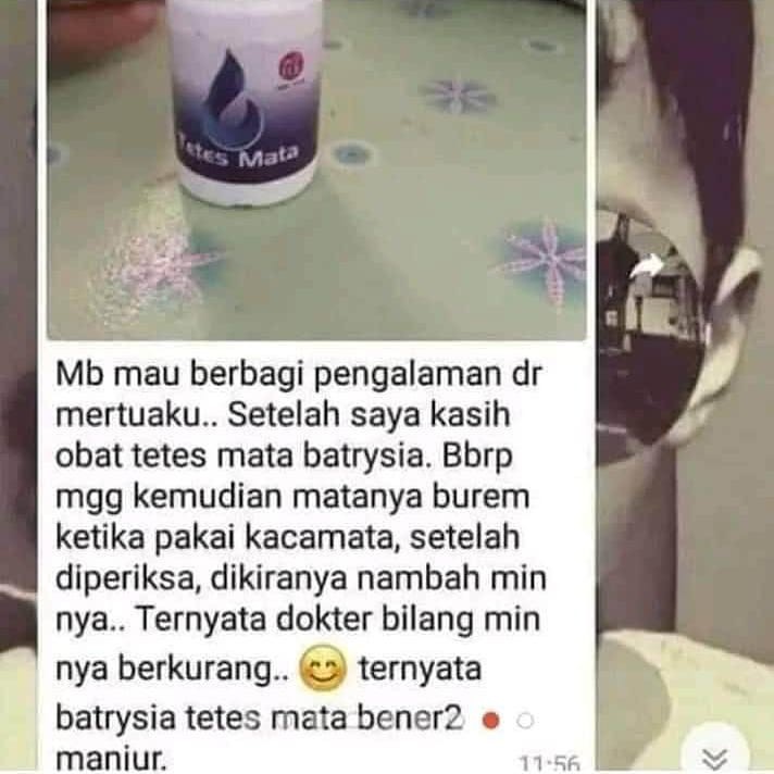 Obat Tetes Mata Batrisyia Herbal