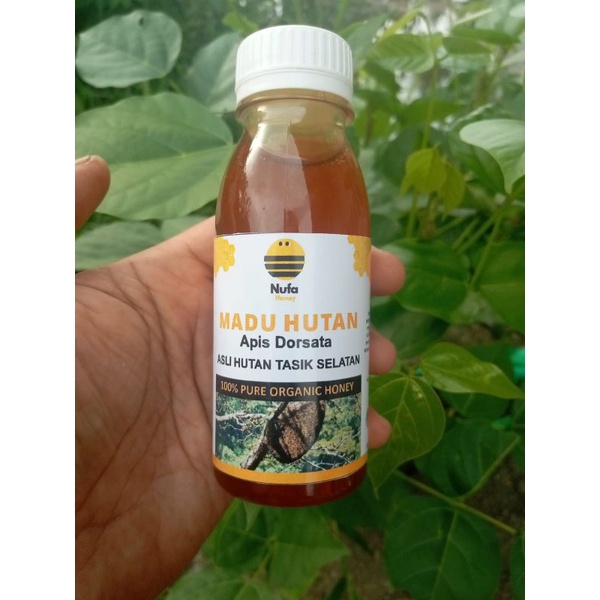 

MADU HUTAN APIS DORSATA / MADU HUTAN TASIK SELATAN / MADU ASLI 100 gram