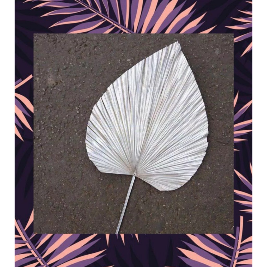 DAUN PALEM KERING GOLD SILVER, DRIED PALM RUSTIC, DAUN PALEM WARNA