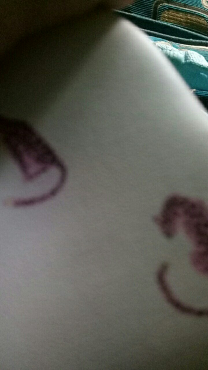 Alat Pemisah Kuning Telur Alat Dapur Praktis  Egg White Separator