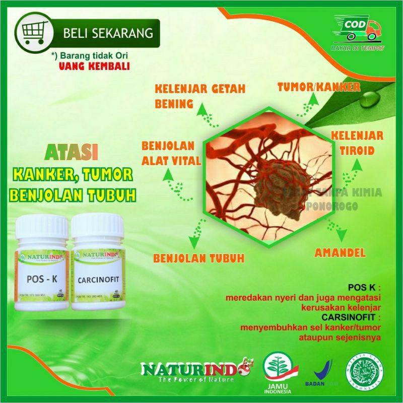 OBAT HERBAL KANKER TUMOR KANGKER PAYUDARA, PROSTAD, TEROID, GONDOK NATURINDOFIT