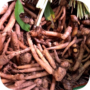 

Temu Kunci 100g
