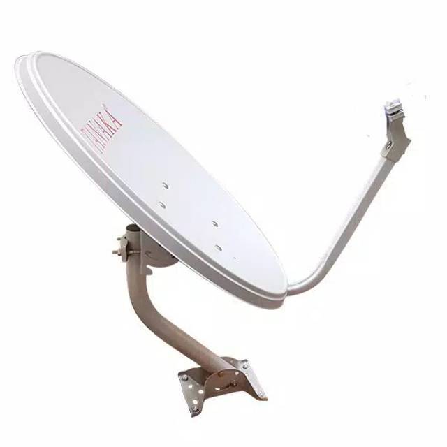 Payung Dish Solid Tanaka 45cm