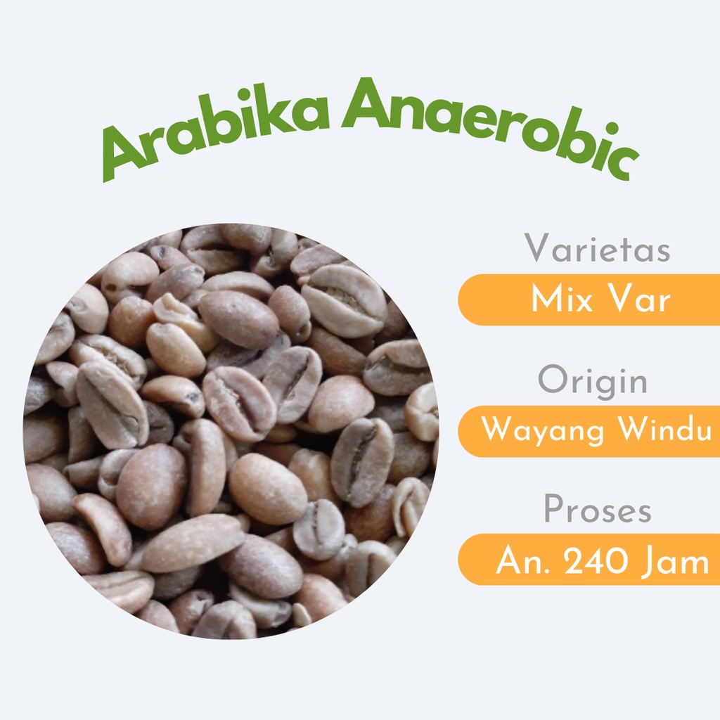 

Green Bean Anaerobic 240 Wayang Windu - TERPADU COFFEE