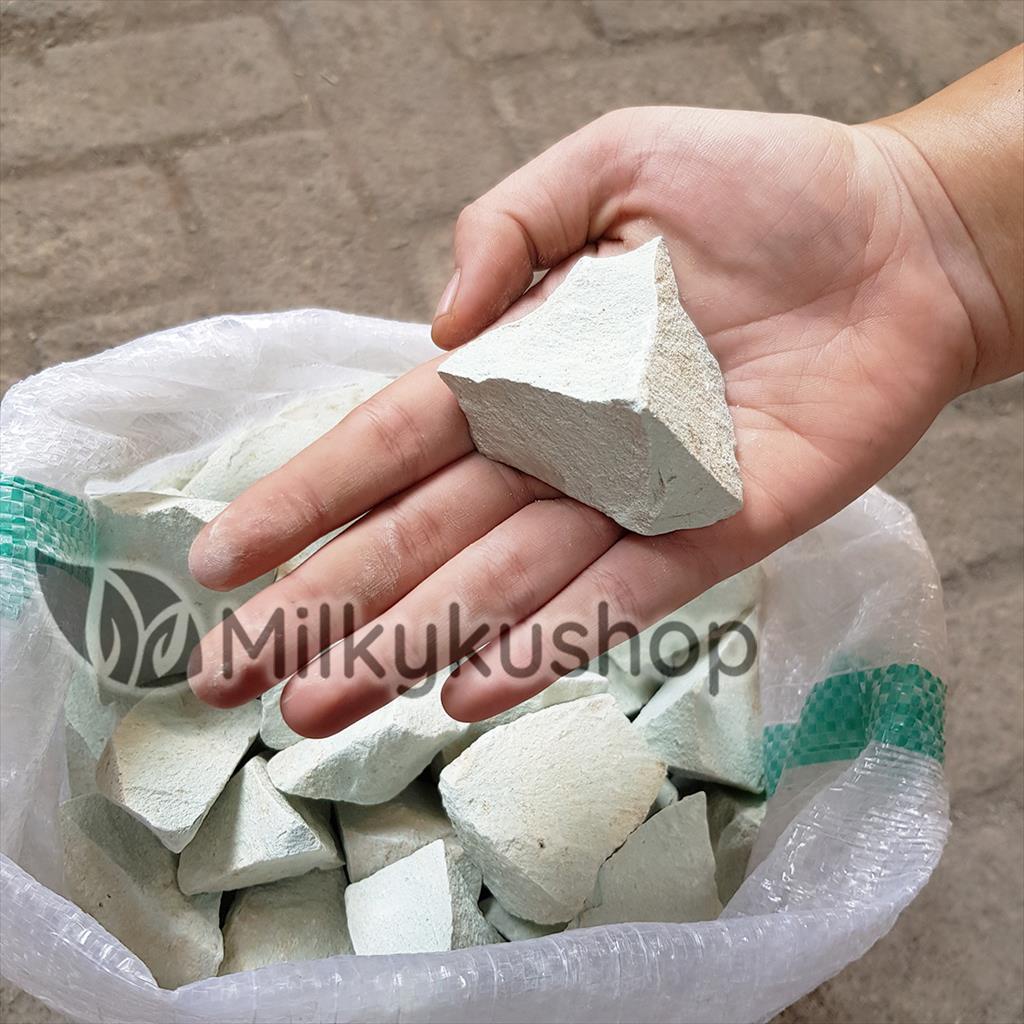 BATU ZEOLITE ZIOLIT - HIASAN TAMAN FILTER AQUASCAPE VIA GOSEND GRAB
