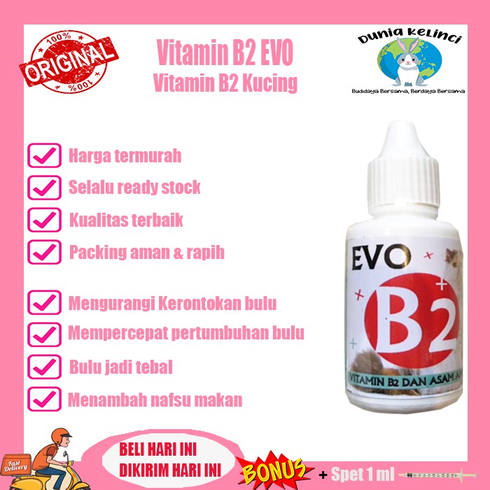 VITAMIN BULU RONTOK KUCING B2 EVO MENAMBAH NAFSU MAKAN