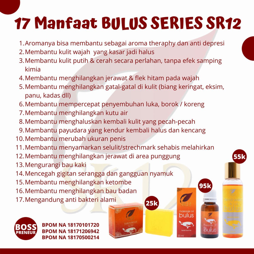 SR12 Massage Oil Minyak Bulus Original BPOM Asli Halal