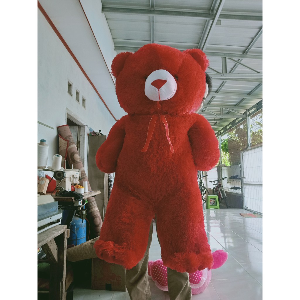 teddy bear paling besar