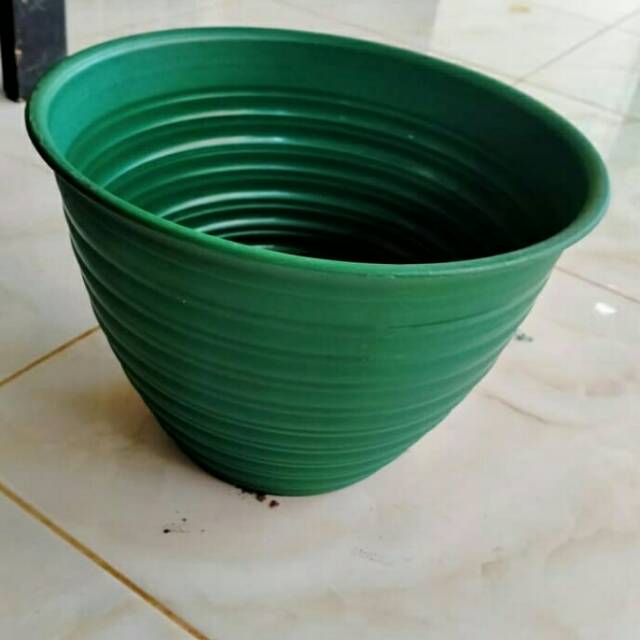Pot tawon 24hijau