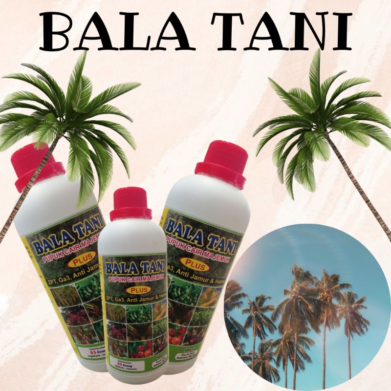 Pupuk Cair Untuk Bibit Sawit, Balatani Pupuk Untuk Sawit Terbaik
