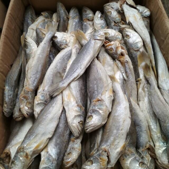 

Ikan Asin Kepala Batu Khas Medan Enak Kiloan Pasar Murah Jakarta