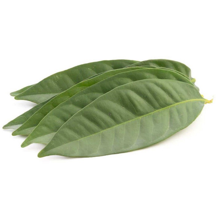 

Daun Salam Daun Kari Bumbu Dapur