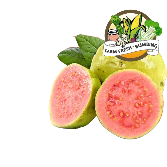 

Jambu Biji Merah 1kg