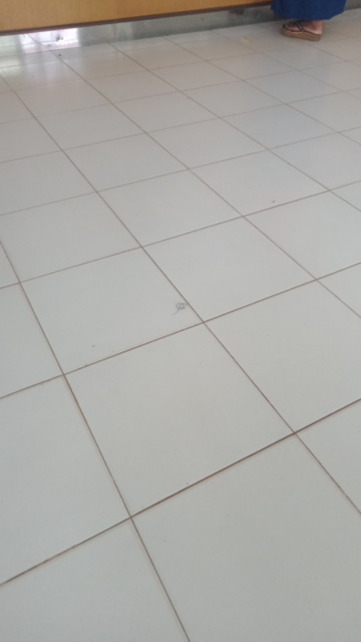 Payung Bubu Jaring Jebakan Perangkap Udang Ikan Kepiting Model Payung 8 Lubang